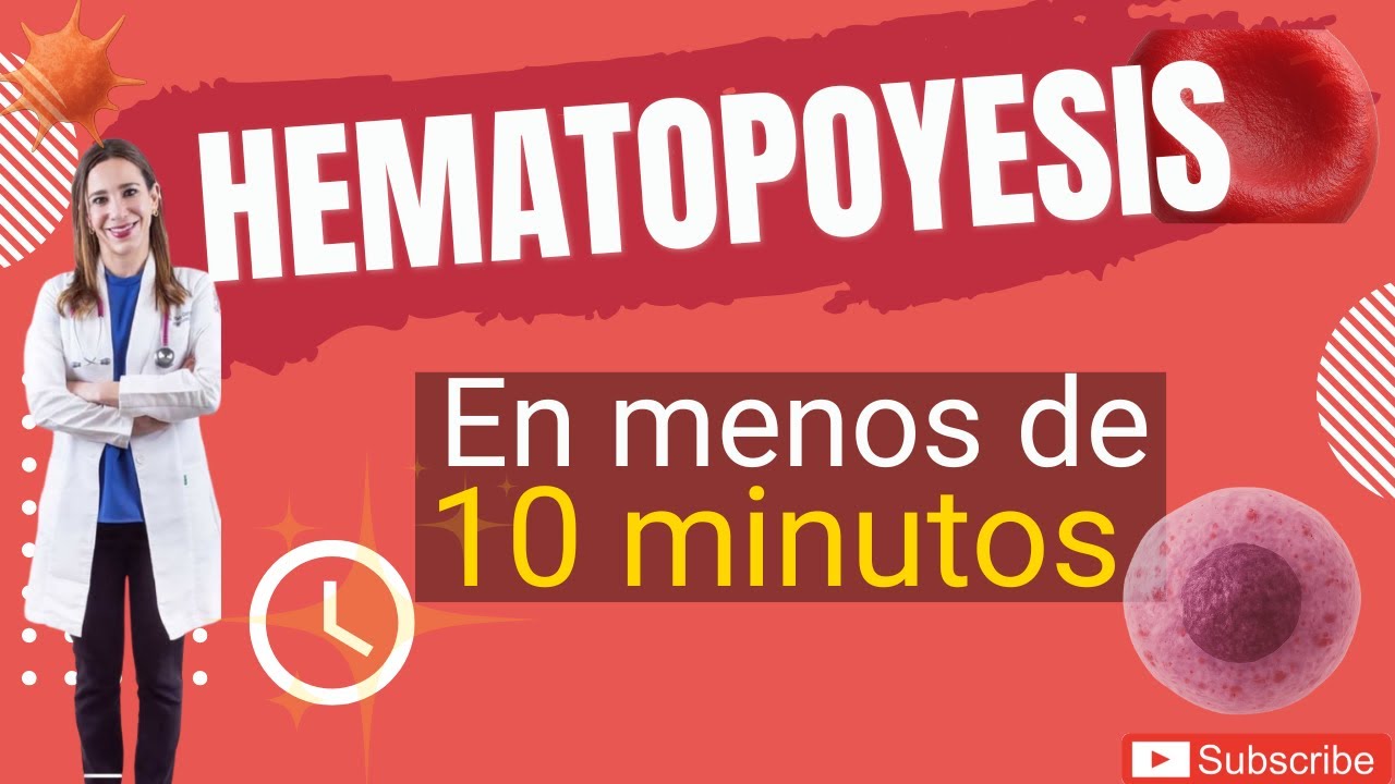 Hematopoyesis explicada fácil | Clase de medicina para estudiantes