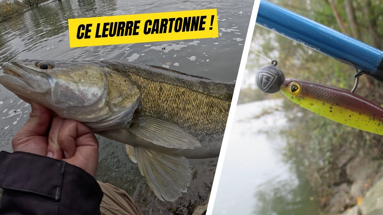 CE LEURRE CARTONNE SUR TOUTES LES ESPÈCES ! (PERCHES, SANDRES, BROCHETS)