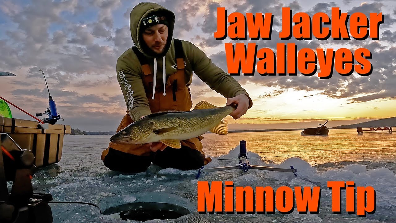 How I Hook Minnows on Jaw Jackers for Walleyes