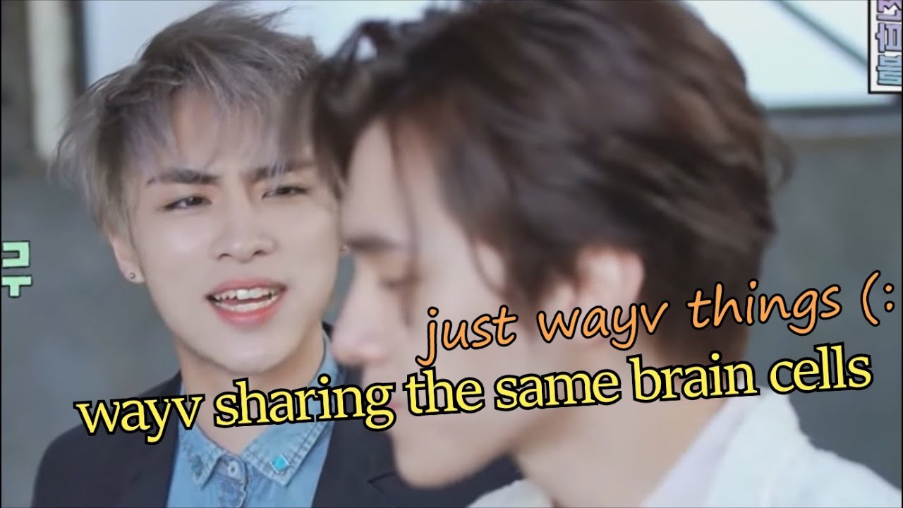 wayv sharing a single brain cell (save wayv from wayv)