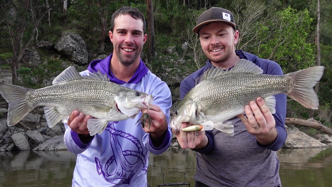 HUGE CLARENCE RIVER BASS - NEVER CAUGHT THIS MANY 50+ FISH IN ONE SESSION