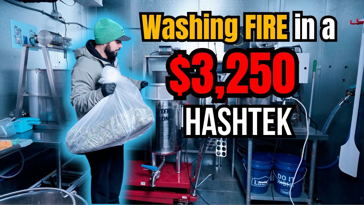 Стирка 10 фунтов огня в Hashtek BubbleTek 🔥 | Разбор микропартии Rosin Tech Labs