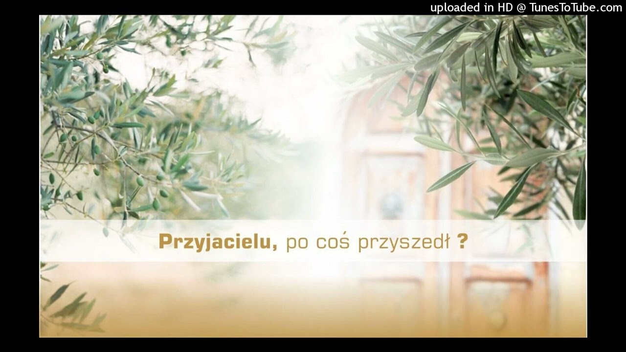 KONFERENCJA 14.11.2022