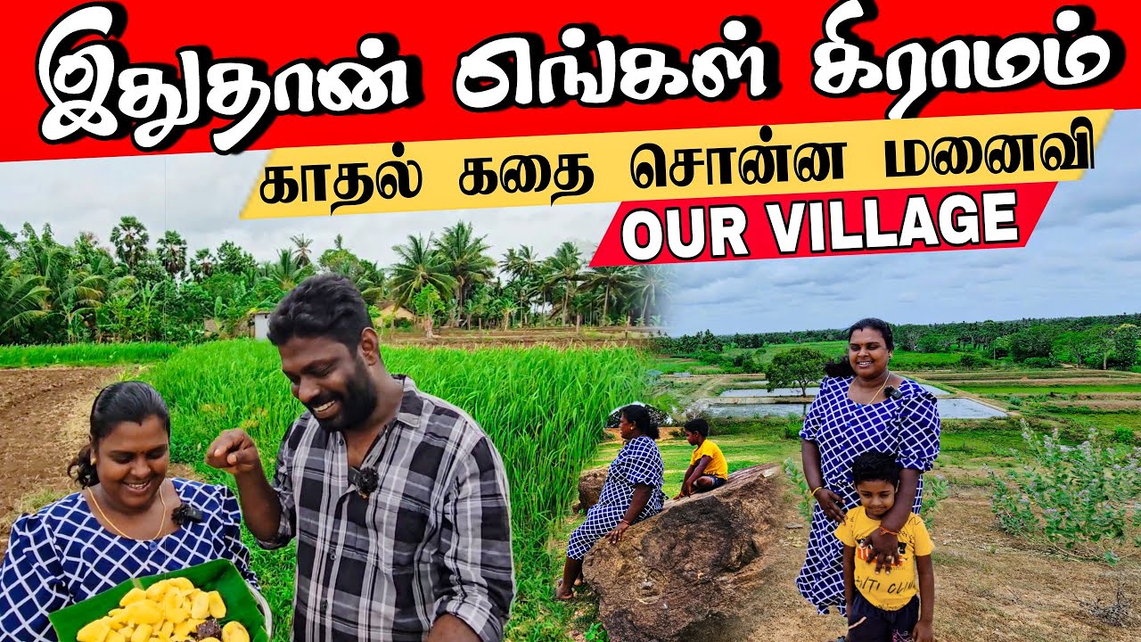 எங்கள் வாழ்கை இங்கேதான் | Our Village life ♥️ | vanni vlog