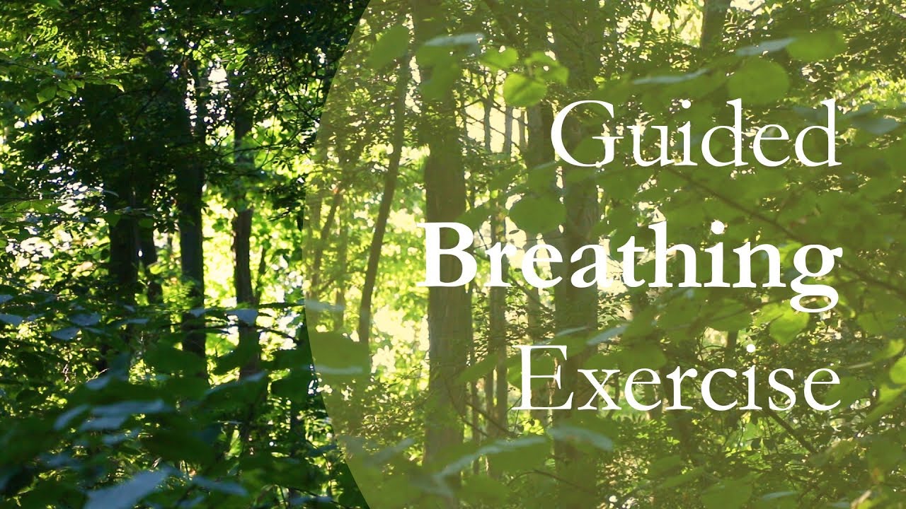 Guided Breathing Exercise (Woods)