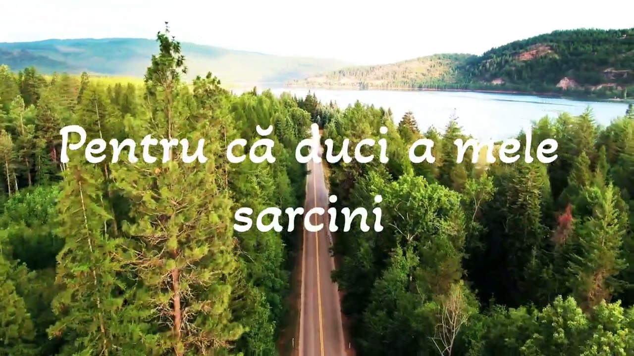 Eu, n-am cuvinte, Doamne Sfinte