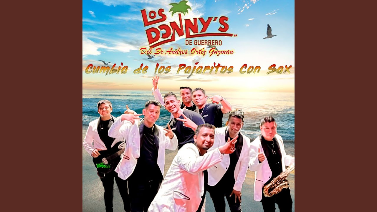 Si tu te Fueras de Mi Ando Buscando un Amor No te Olvidare