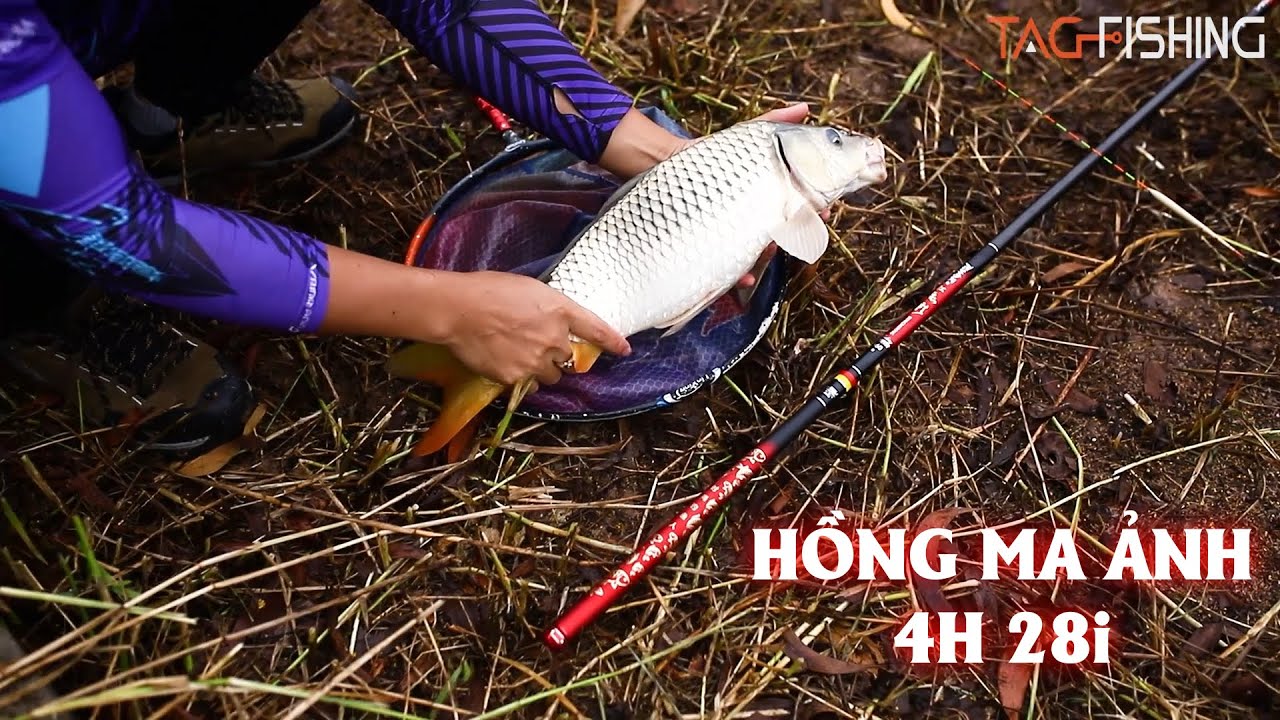 Cần Tay Guide Hồng Ma Ảnh 4H 28i - Lên Chép Quá Dễ Dàng