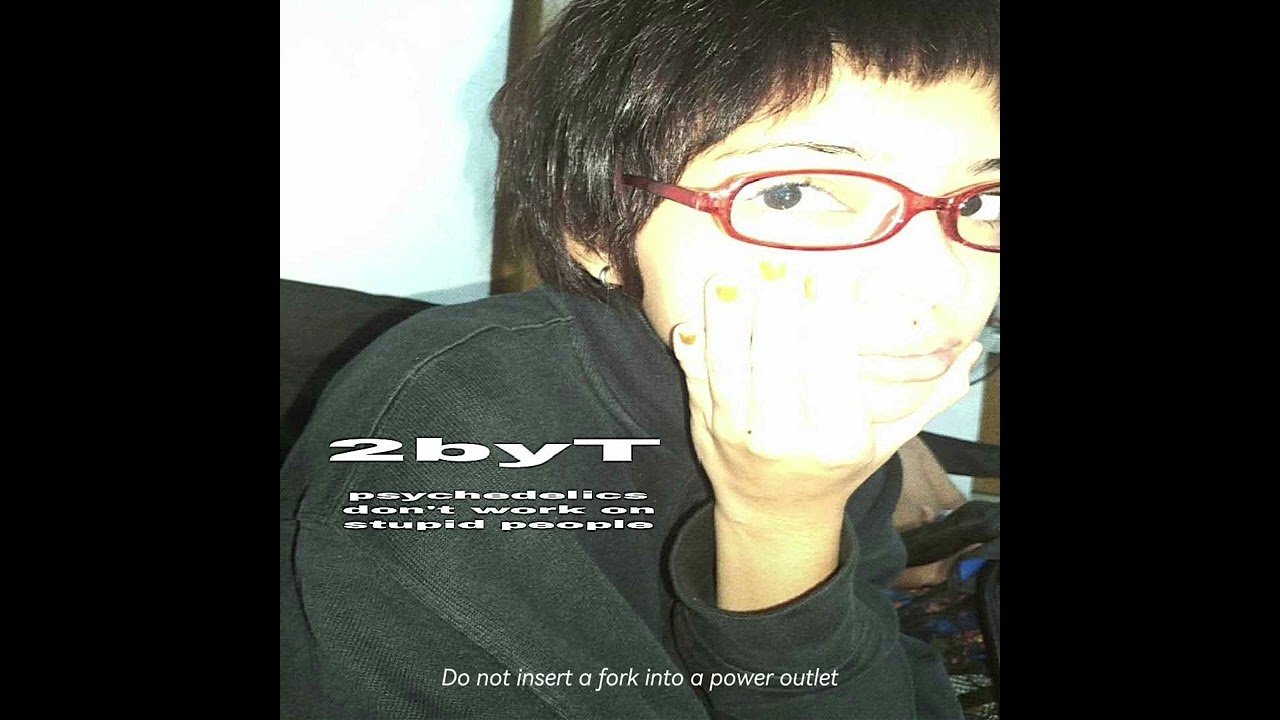 2byt - Do not insert a fork into a power outlet