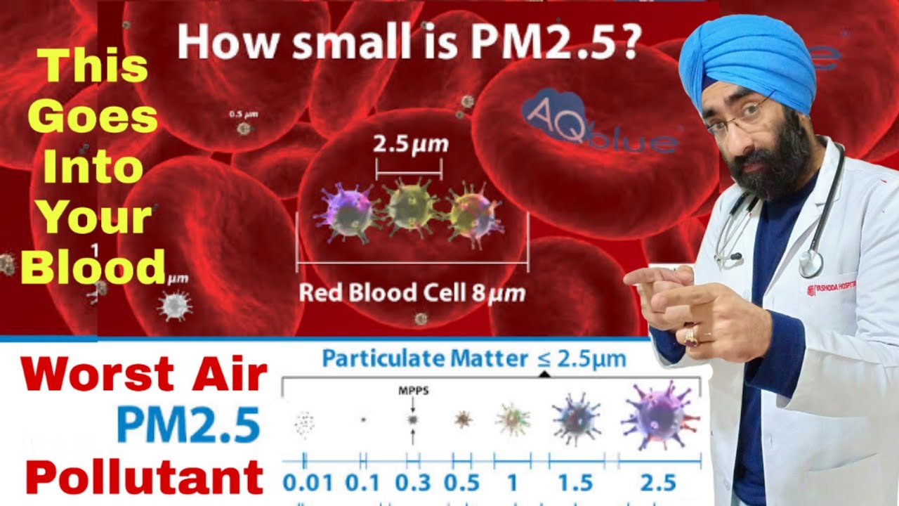 What is PM 2.5 particle air pollution | Goes into your blood and makes you very sick | Dr.Education