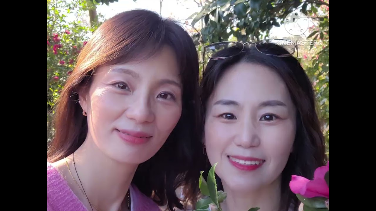 2023년 제주도 (이게바로 갑이구나:)