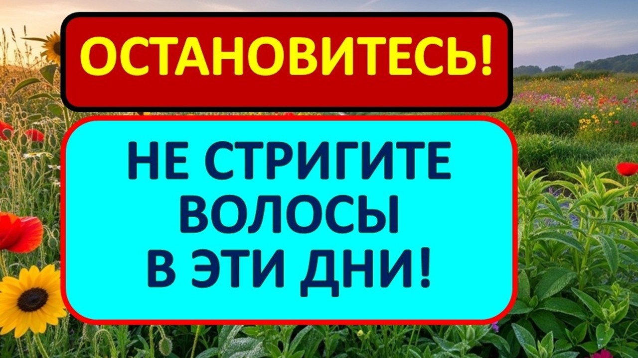 7 вещей, которые нельзя делать с волосами. Не стригите волосы в денежные дни. Ритуалы