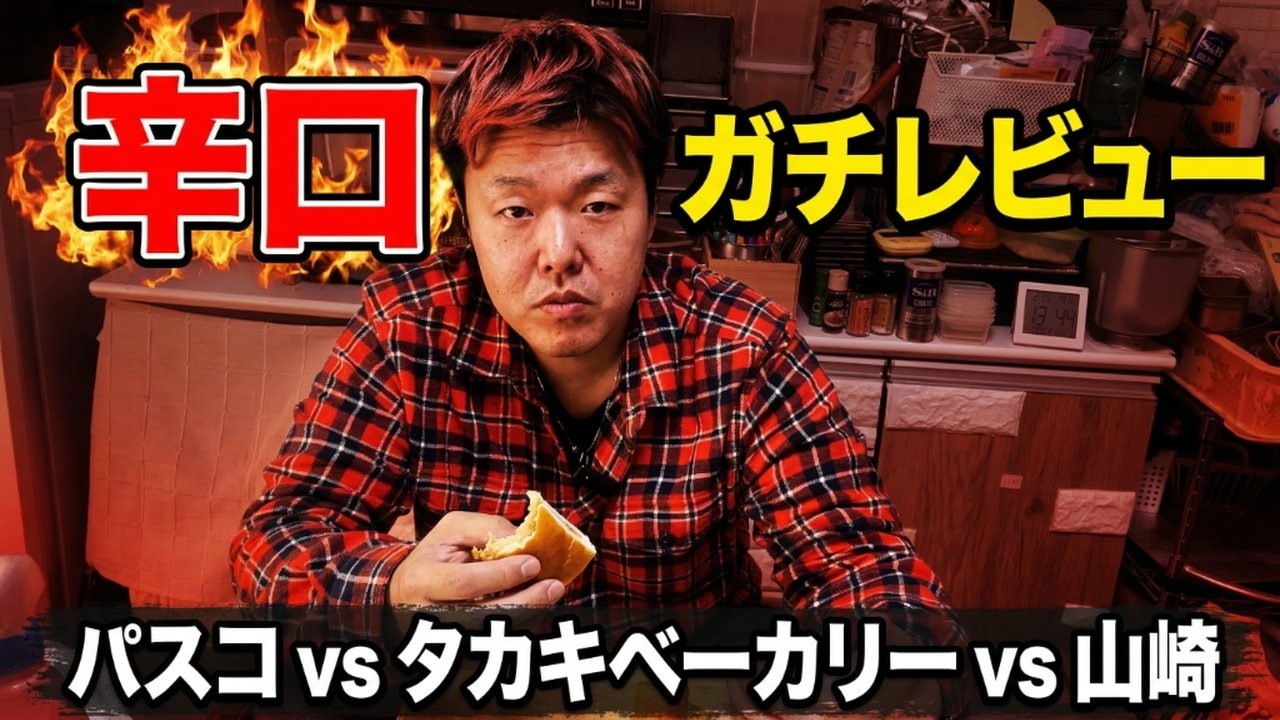 辛口ガチレビュー