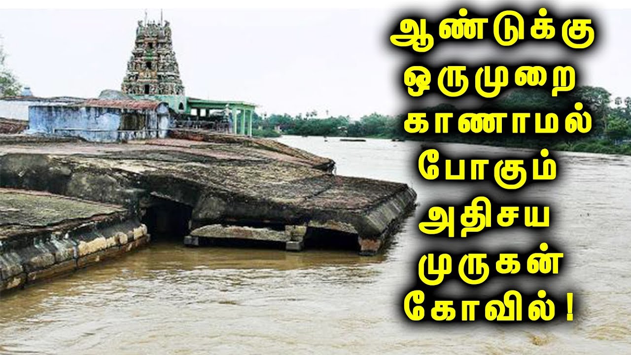 300 ஆண்டுகளாக வெள்ளத்தை எதிர்த்து நிற்கும் அதிசய முருகன் கோவில்!|  The Mysterious Murugan Temple!