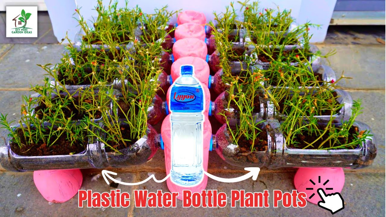 Waste Plastic Bottle Craft Ideas for Plants | Reuse Plastic Water Bottles to Make Plant Pots [NEW]