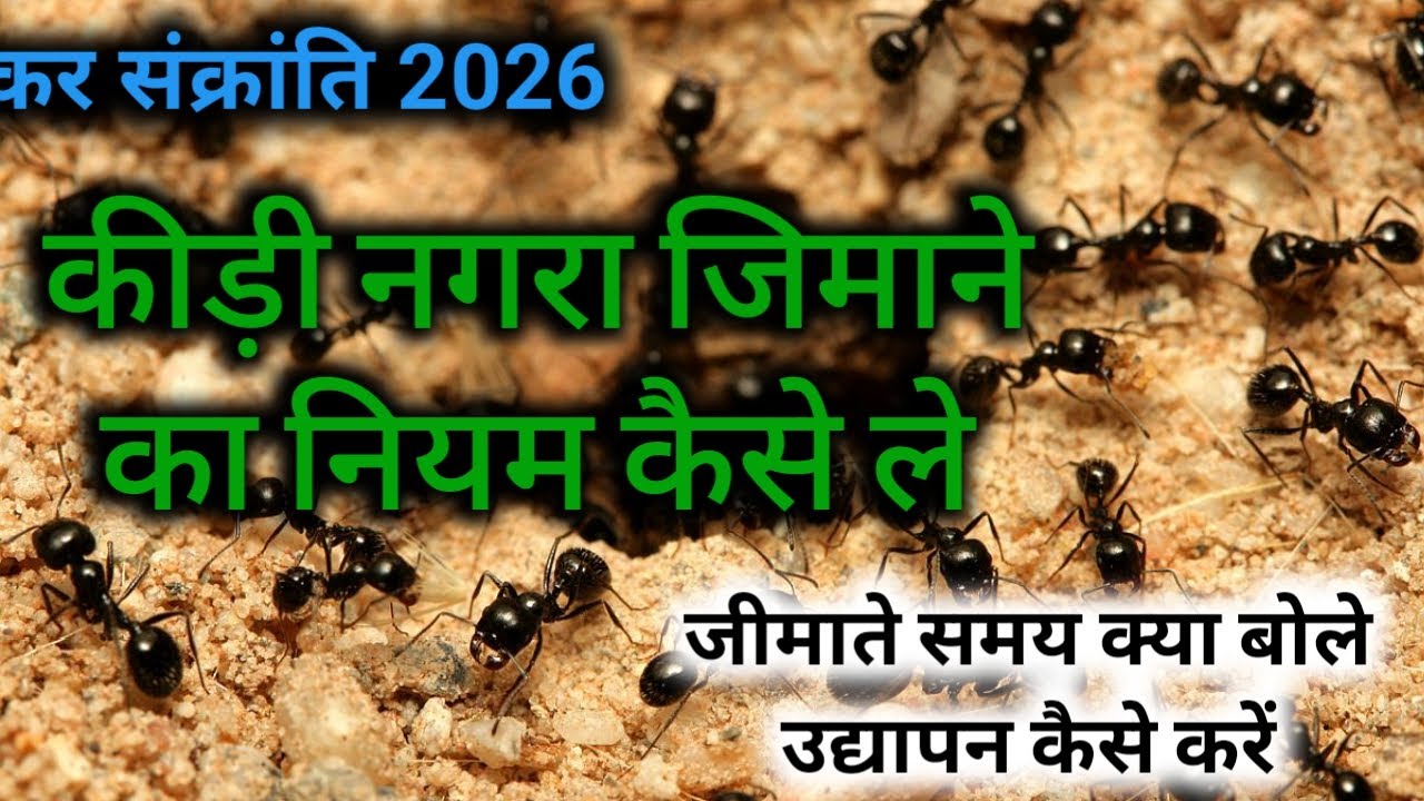मकर संक्रांति से कीड़ी नगरा सीचने का नियम कैसे लें | kidi nagra jimane ka niyam kaise le...