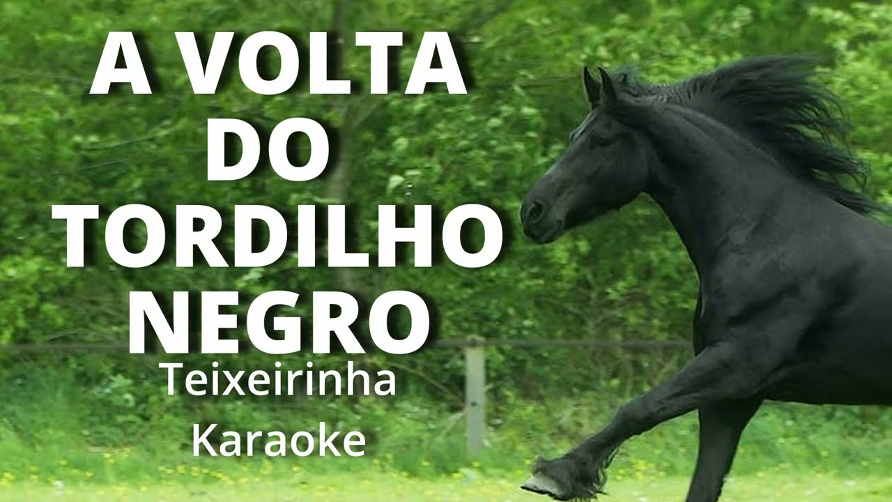 A VOLTA DO TORDILHO NEGRO - TEIXEIRINHA - KARAOKE