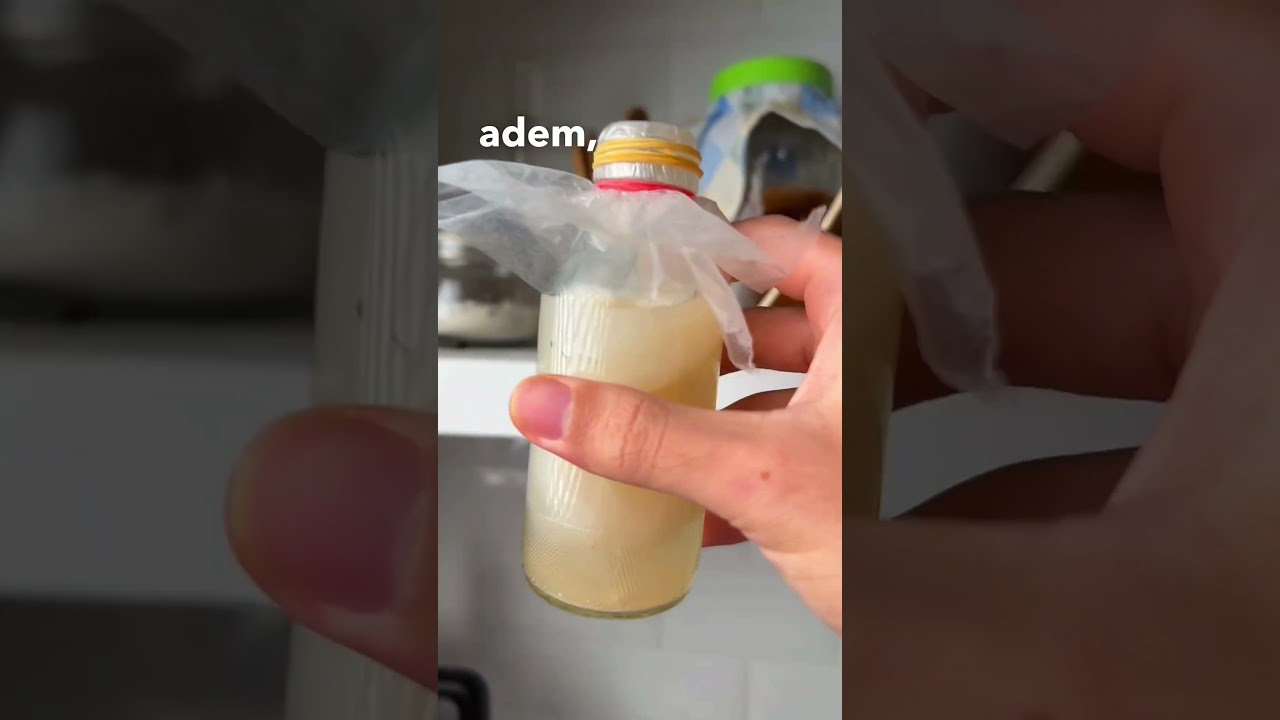Nata de Coco-nya mirip kwetiau!!??