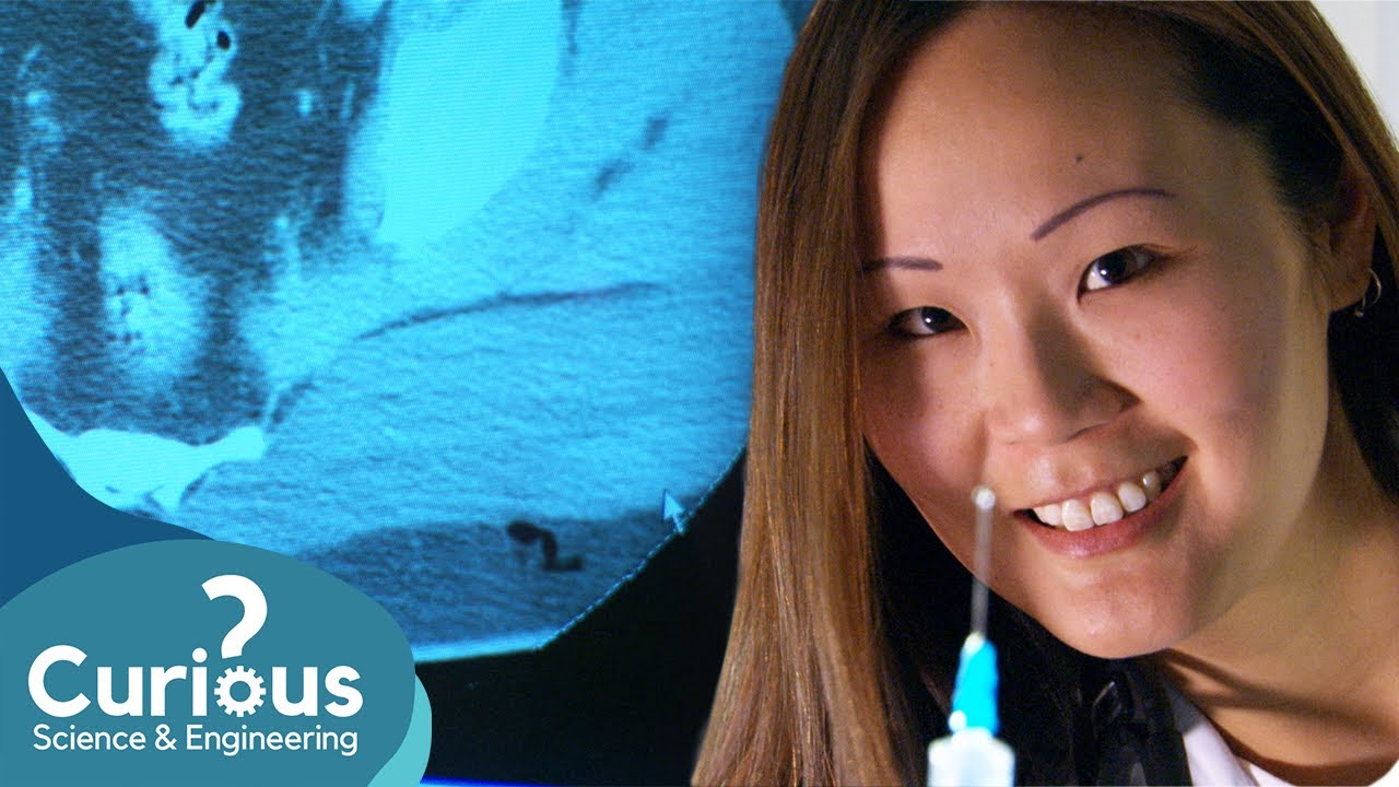 Are Bums a Good Place To Inject? | ExperiMental | Curious?: Science and Engineering