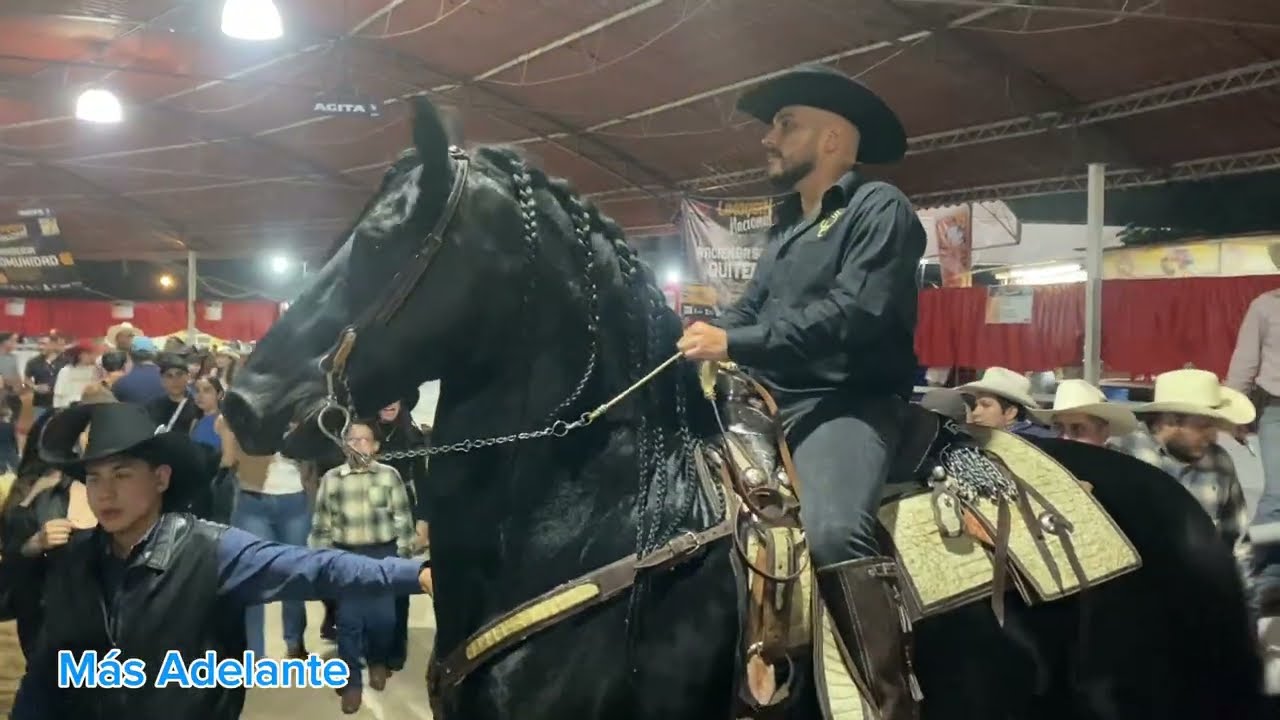 EXPO GANADERA 2O25 Guadalajara #caballos #fiestas 