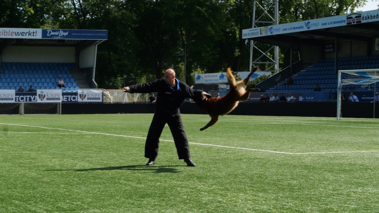 KNPV  Nationale Kampioenschappen  2024  Eindhoven