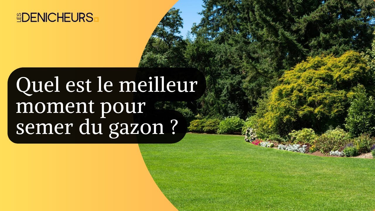 🕐​👩&zwj;🌾 Quel est le meilleur moment pour semer du gazon ? ​⛰️​