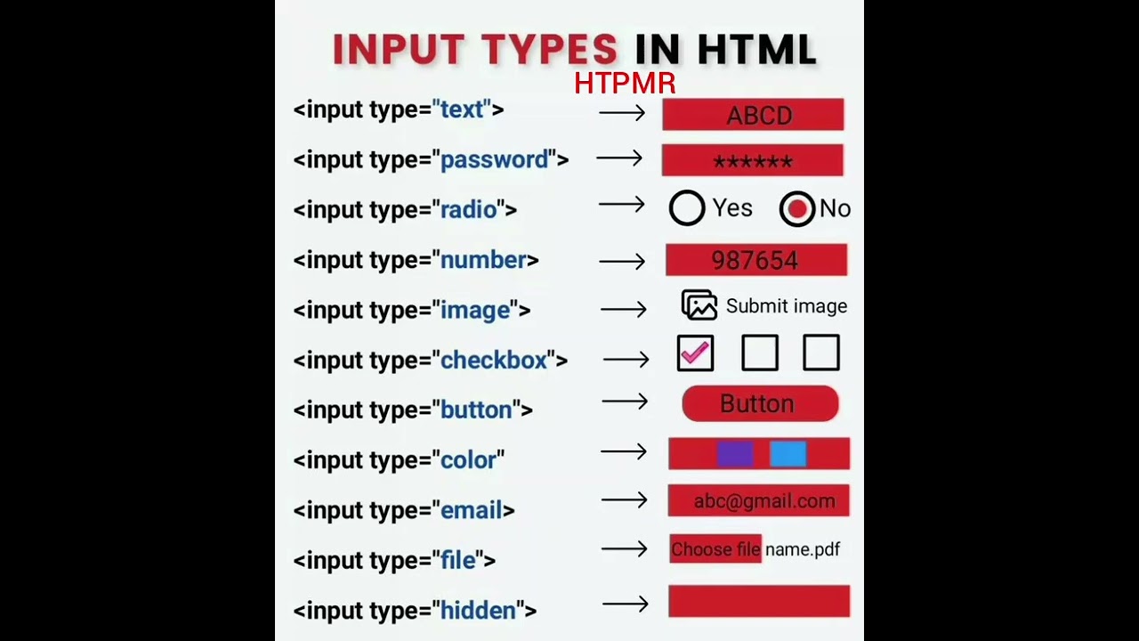 Input Types In HTML  - HTPMR