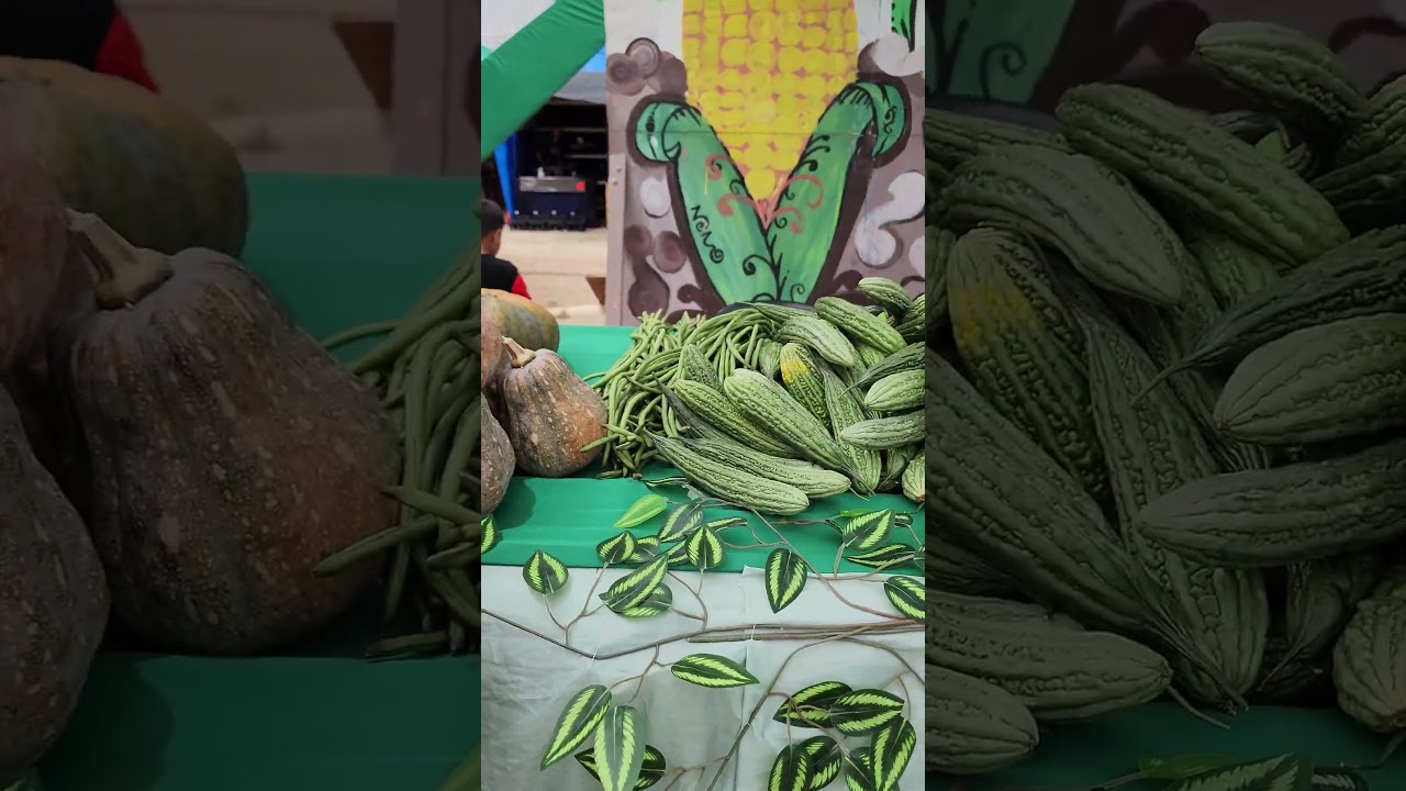 Municipality of Paracelis products during the Agro-Industrial Trade Fair 2025