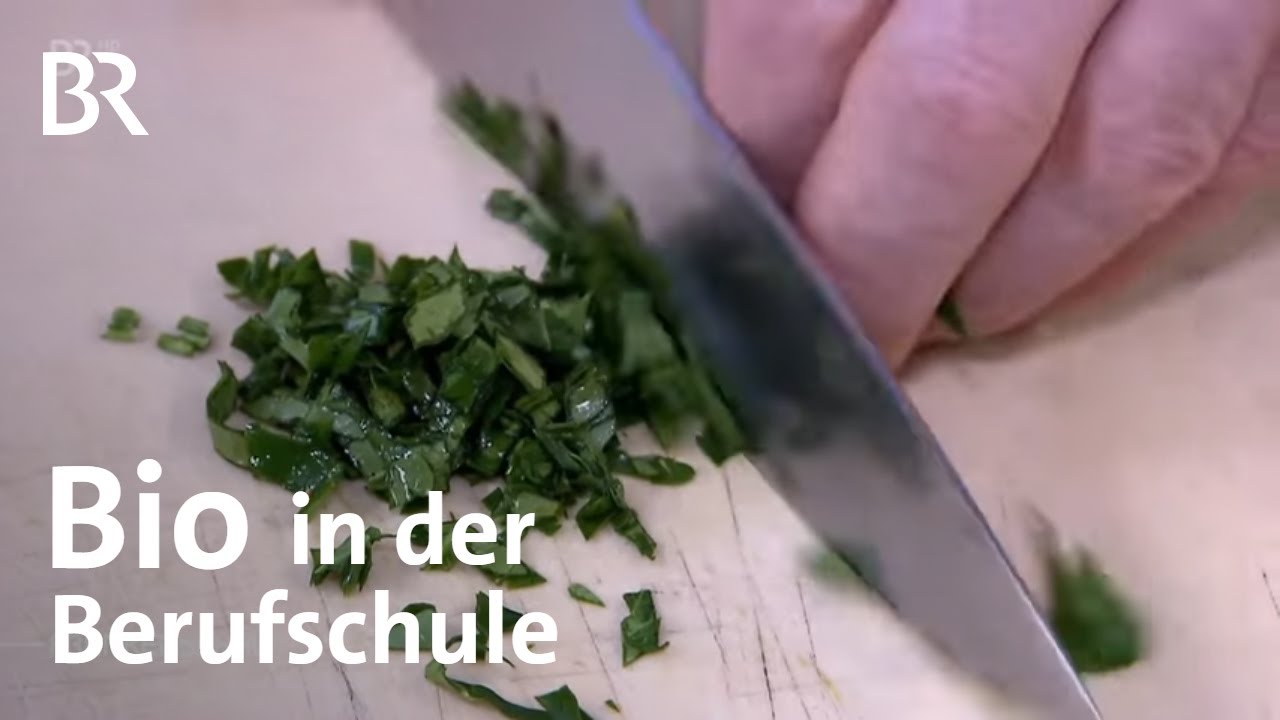 Berufsschule in Nürnberg - Ausbildung zum Koch mit Bio-Lebensmitteln | Frankenschau | BR