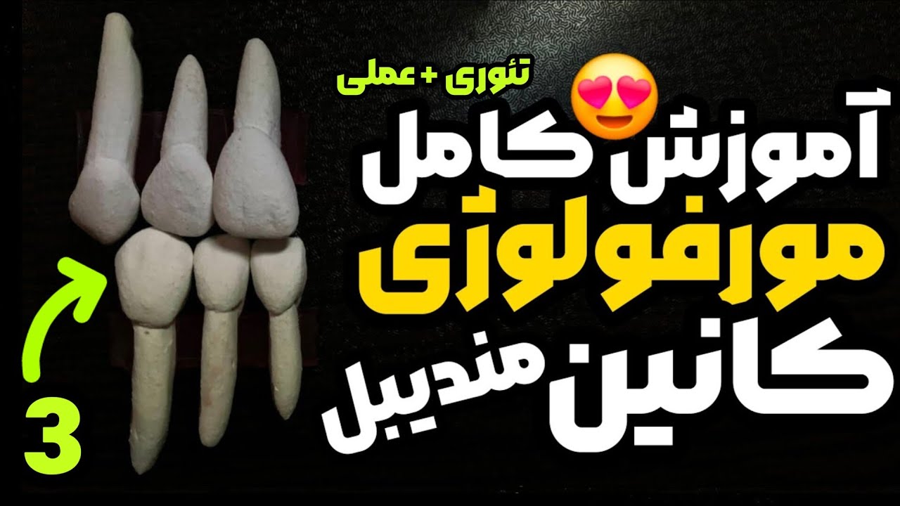 آناتومی دندان کانین پایین| مورفولوژی دندان کانین پایین carving of mandibular right Canine | cuspid