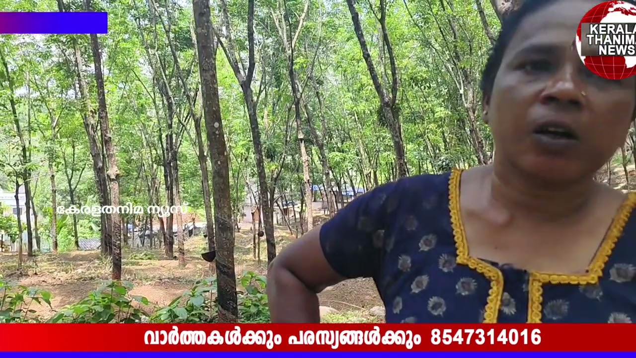 നോക്കളിയാ പോകുന്ന പോക്ക് കണ്ടോ..