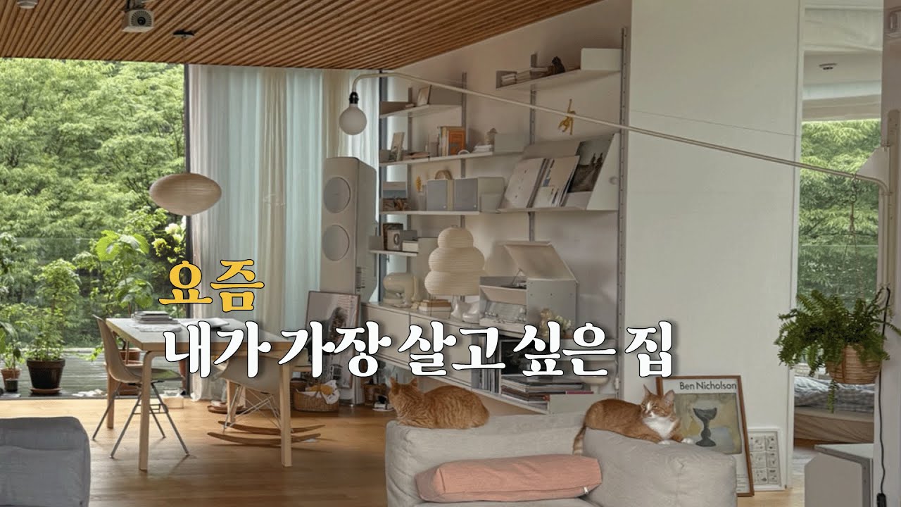 창밖까지 완벽한 30평대 4냥이네🐱 상가주택 | 제가 입주하고 싶은데 어떻게 하면 될까요? (고양이 많이 나옴***)