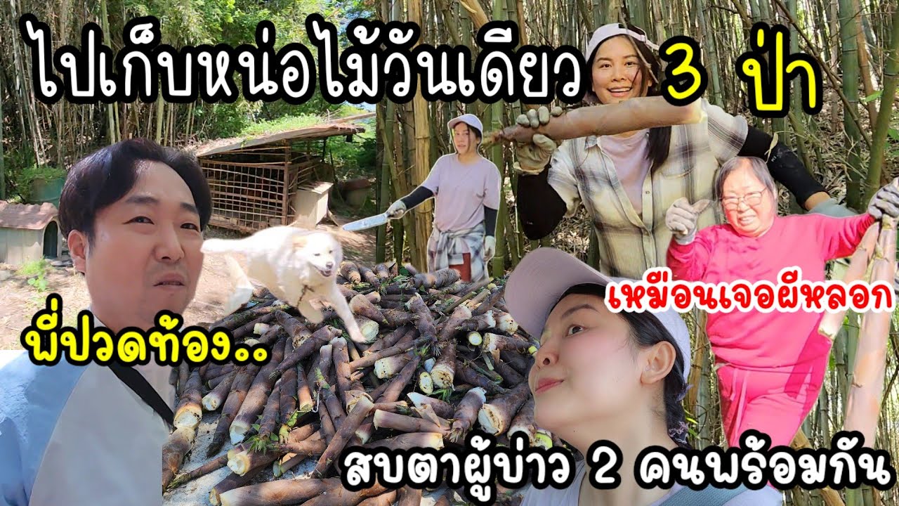 EP.867 ปีนี้ไปเร็วได้แต่หน่อนางดิน ขุดเอาๆ จนมีดหัก พี่ชินก็มาปวดท้องตอนนี้ ส่วนป่าสุดท้ายหลอนขุนลุก