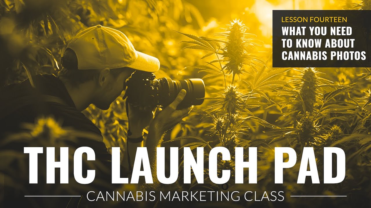 THC Launchpad: How To Get The Most Out Of Your Cannabis Photography