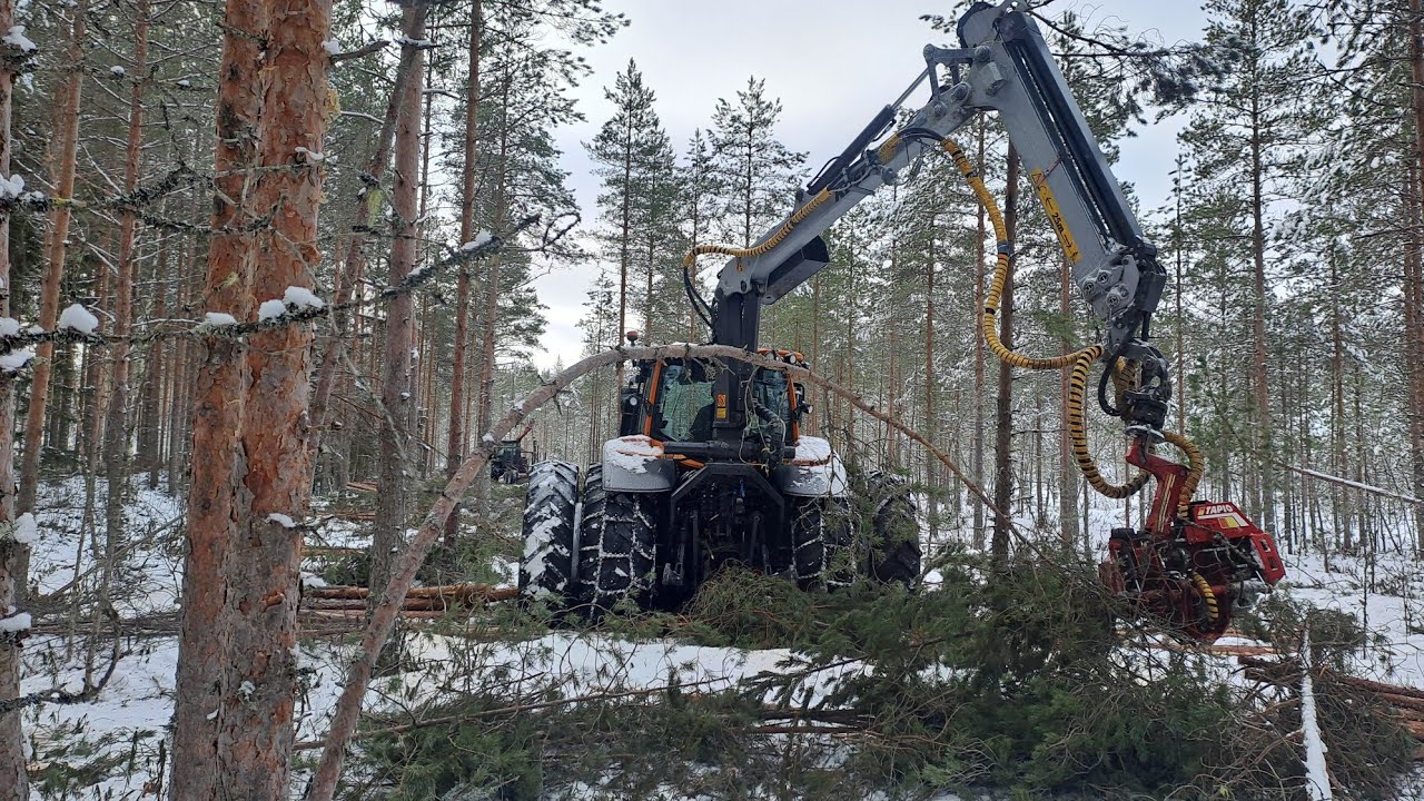 Nevanlaidalla ensiharvennusta ajoa ja hakkuuta