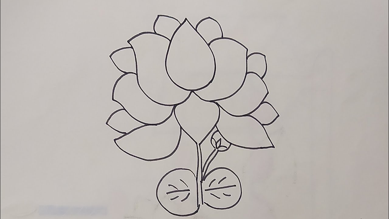 कमल का फूल बनाने का सबसे आसान तरीका ||How To Draw Easy 🌷 Lotus Flower Drawing Video 