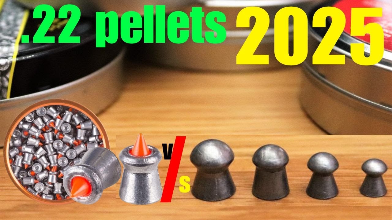 .22 pellets: Top Rated .22 Pellets for Hunting!