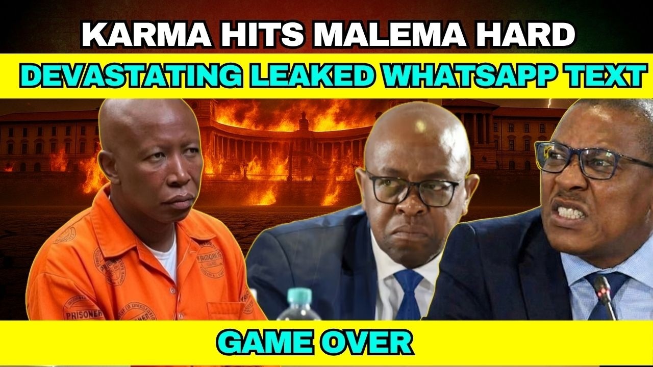 Karma Hits Malema HARD as Madlanga Tears Him Apart!