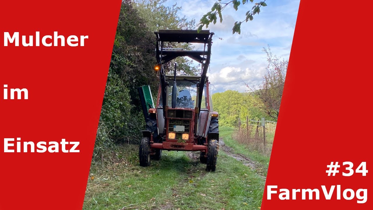 FarmVlog #34 Wegrand arbeiten, der Böschungsmulcher im Einsatz | Fabi`s Landlust