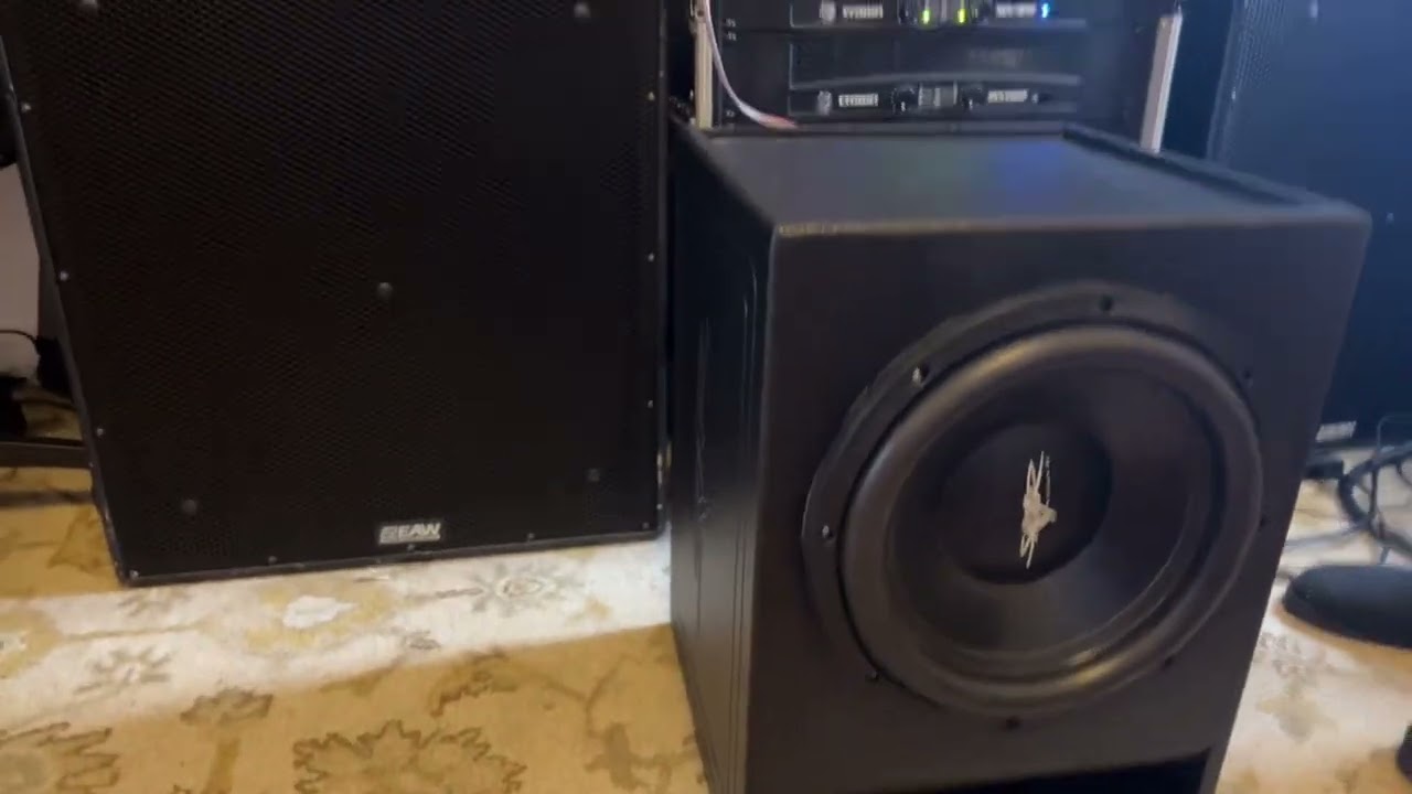 Pro Audio Subwoofer vs. Car Audio Subwoofers
