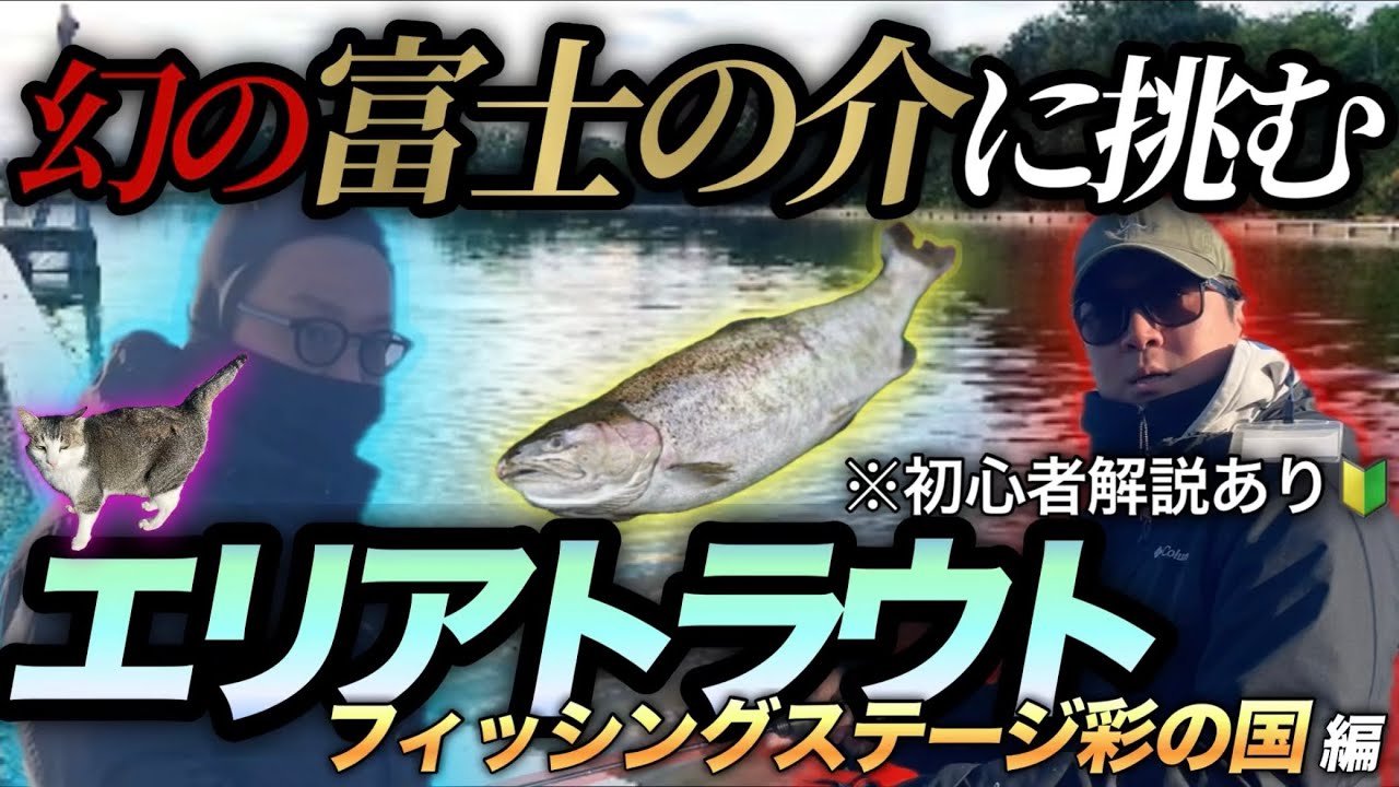 【解説あり】話題の