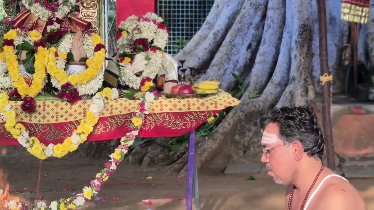 Peechiyode kannannur Mariamman temple Bala alayam poojai 