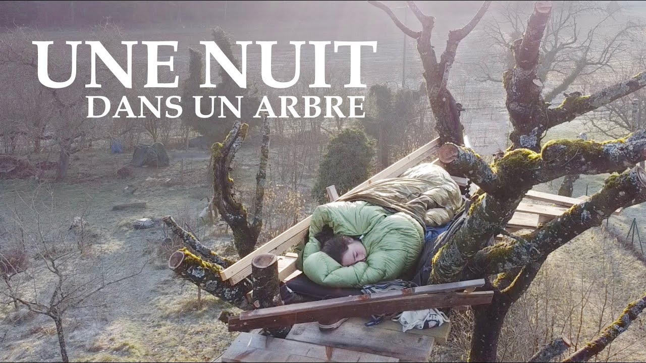 Passer une nuit dans un arbre