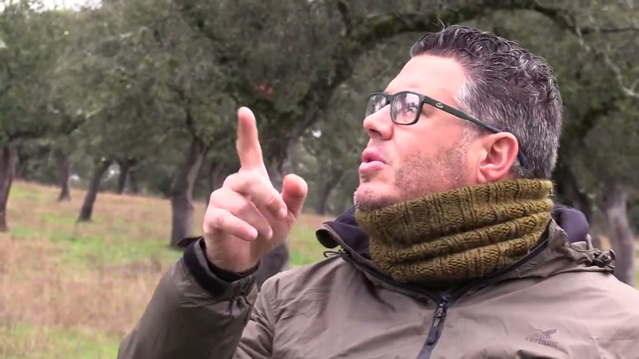 Avance promocional”Torcaces contra Viento y Marea”