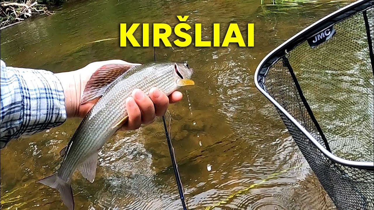 Kiršlių paieškos ir žemas vanduo | FlyToTie