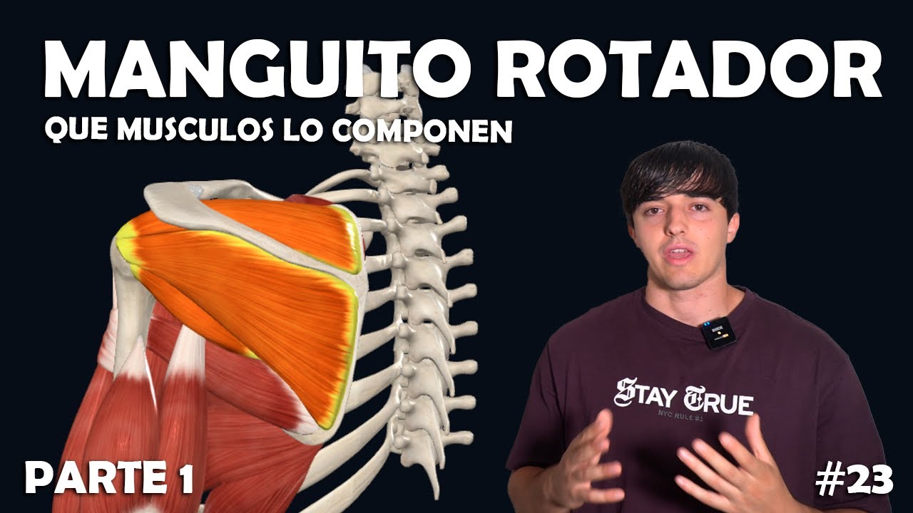 Qué es el manguito de los rotadores: músculos e importancia - Ep. 23