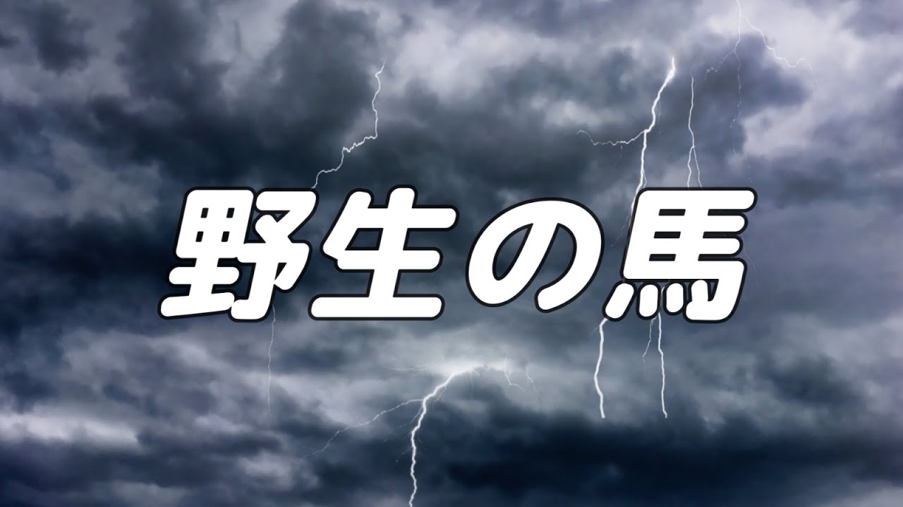 【合唱曲】野生の馬 / 混声三部合唱【歌詞付き】