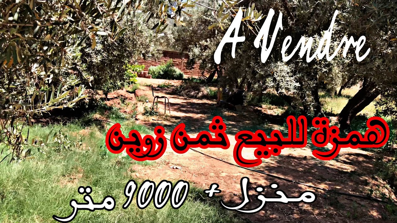 مزرعة للبيع نواحي مراكش ثمن هوتة