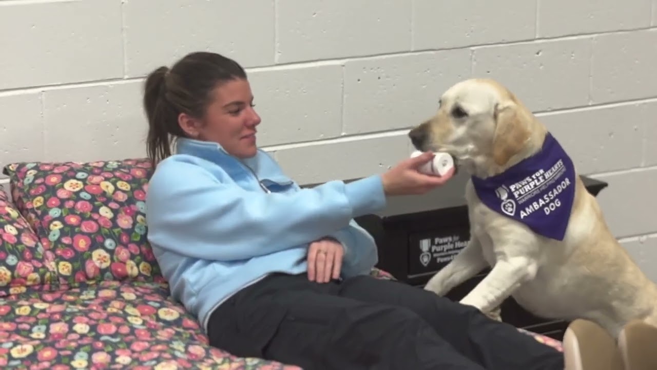 Ambassador Dog Demonstrates Tasks