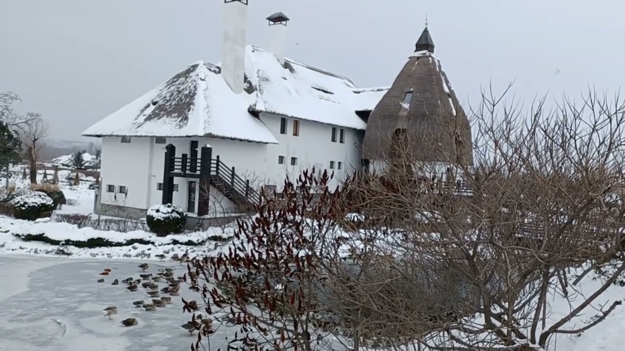 ОТ ГУСЕЙ ВСЕМ ПРИВЕТИКИ